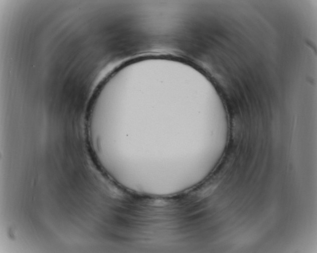 X0000097511412200803142031