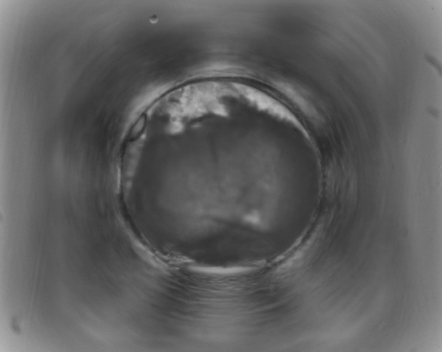 X0000097511413200803142031