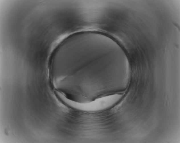 X0000097511414200803142031