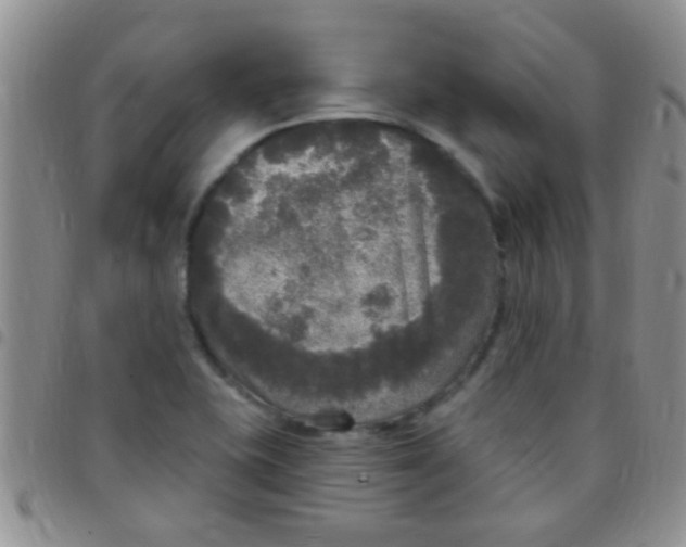 X0000097511415200803142031