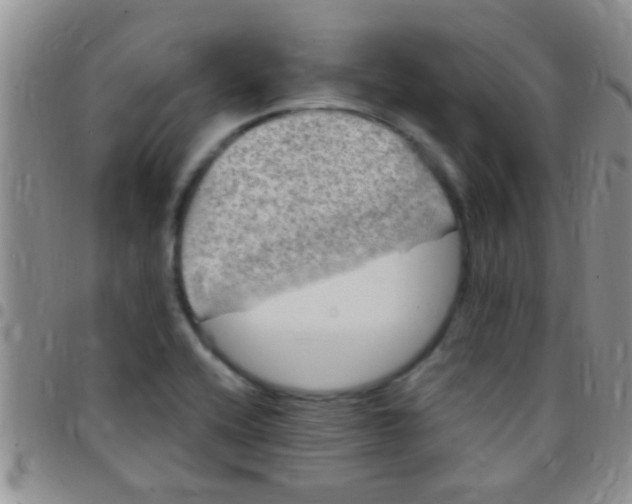 X0000097511416200803142031