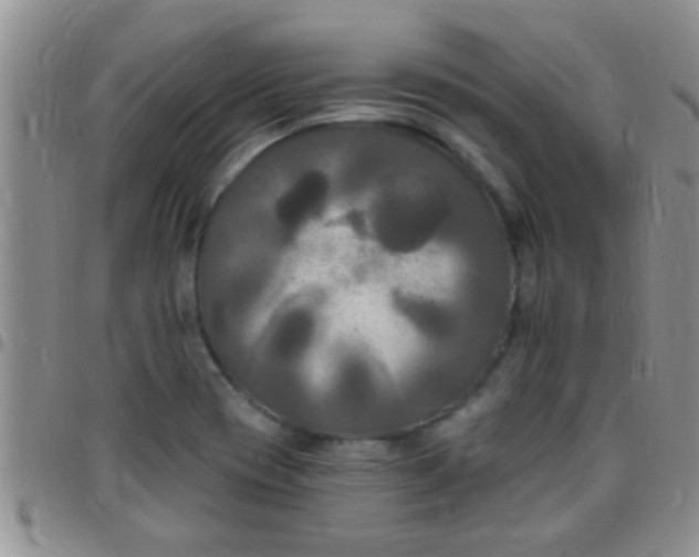 X0000097511417200803142031