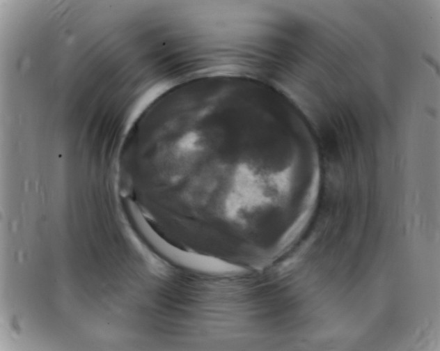 X0000097511418200803142031