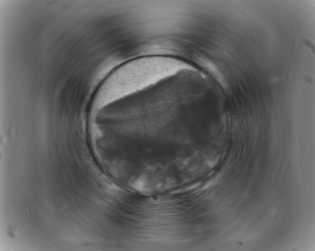 X0000097511419200803142031