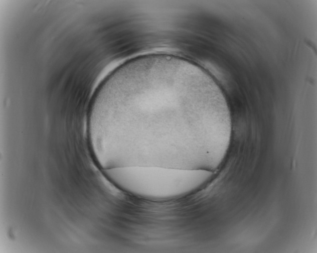 X0000097511420200803142031