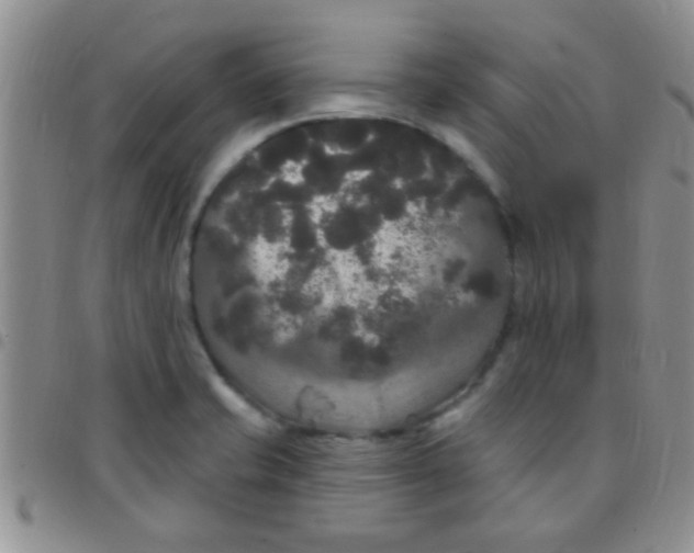 X0000097511421200803142031