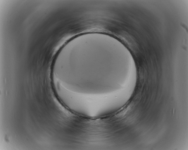 X0000097511422200803142031