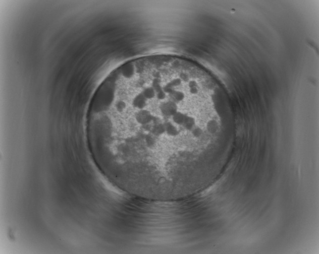 X0000097511423200803142031