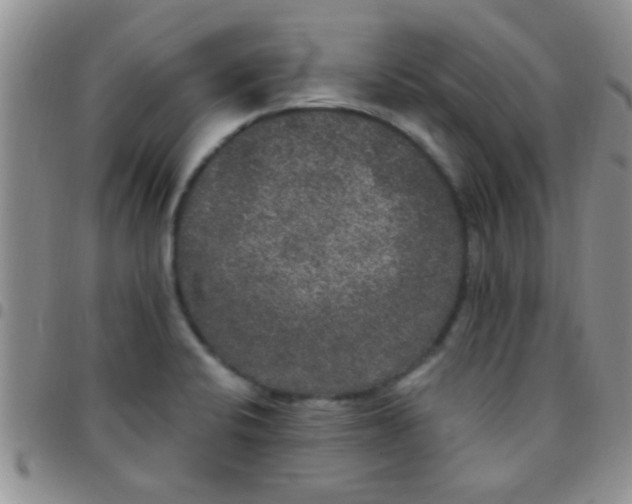 X0000097511424200803142031