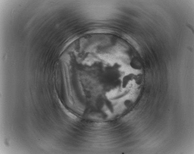 X0000097511425200803142031