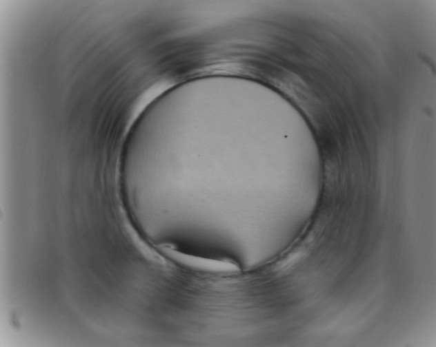 X0000097511426200803142031