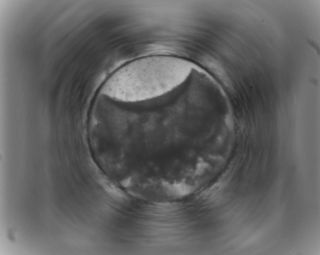 X0000097511427200803142031