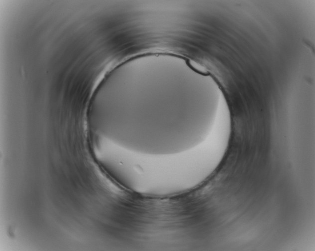 X0000097511428200803142031