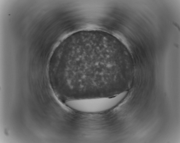 X0000097511429200803142031