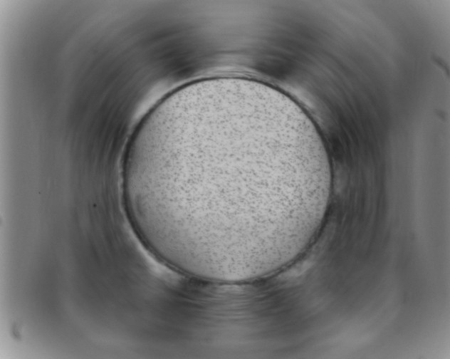 X0000097511430200803142031