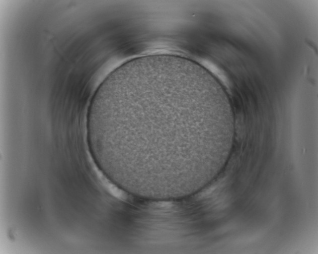 X0000097511431200803142031