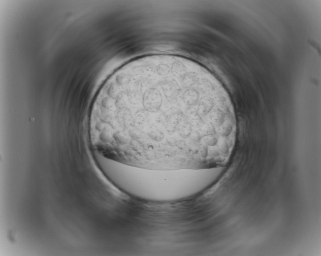 X0000097511432200803142031