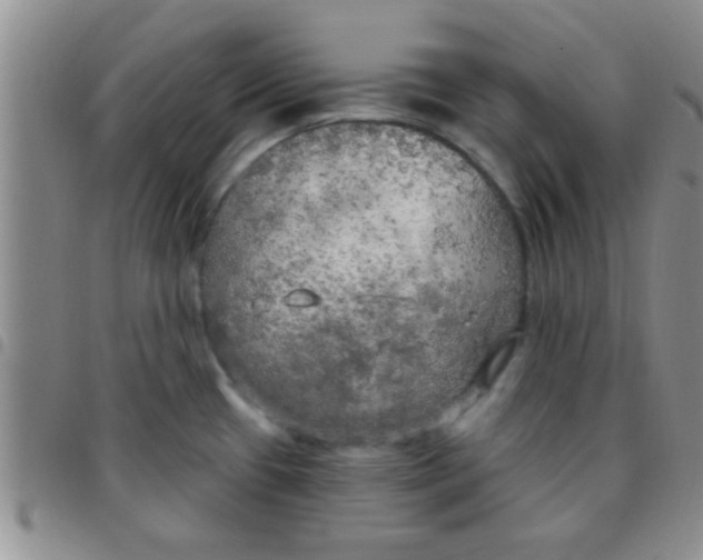 X0000097511433200803142031