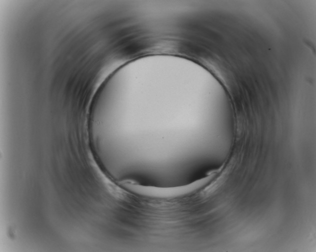 X0000097511434200803142031