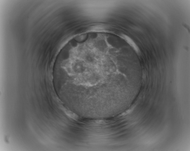 X0000097511435200803142031