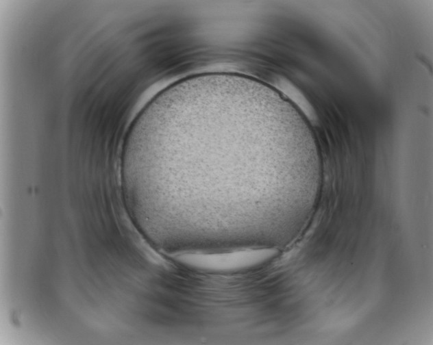 X0000097511436200803142031