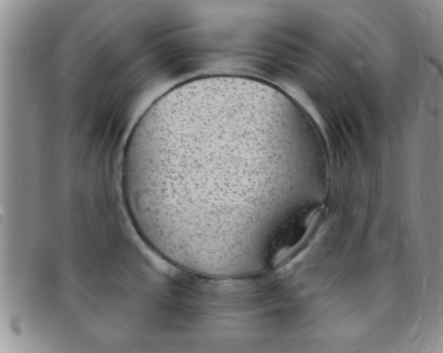 X0000097511437200803142031