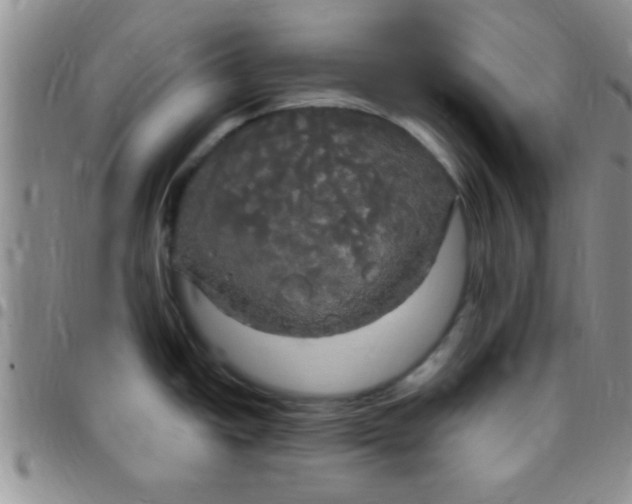 X0000097511438200803142031