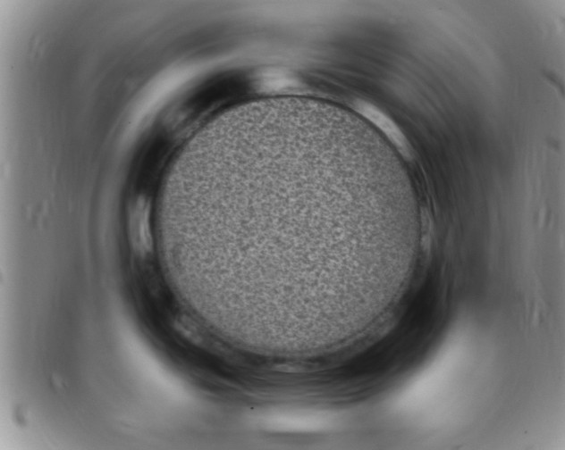 X0000097511439200803142031