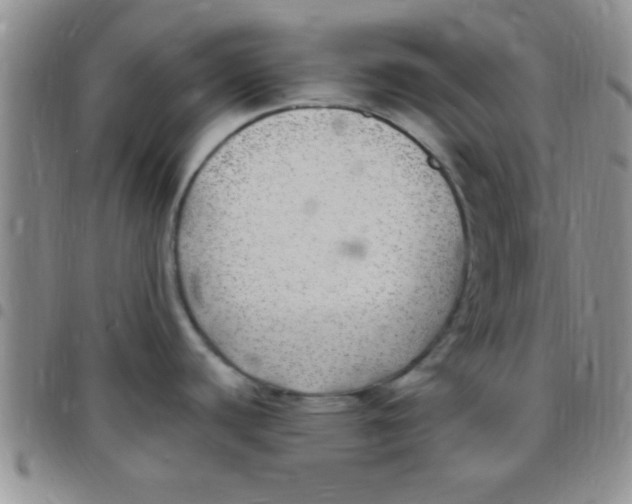 X0000097511440200803142031