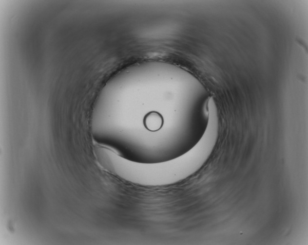 X0000097511441200803142031