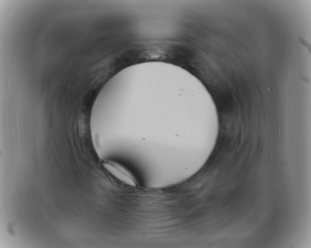 X0000097511442200803142031