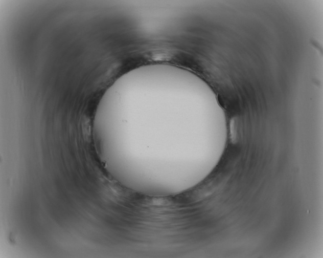 X0000097511443200803142031