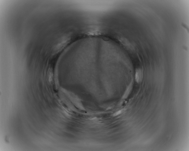 X0000097511444200803142031