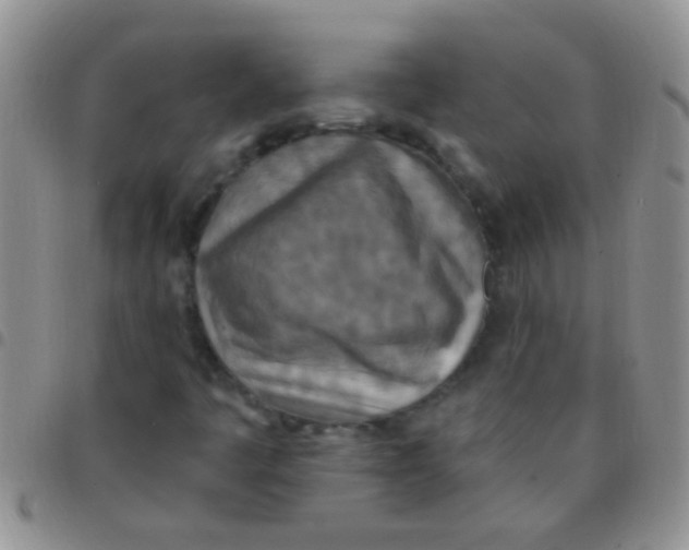 X0000097511445200803142031