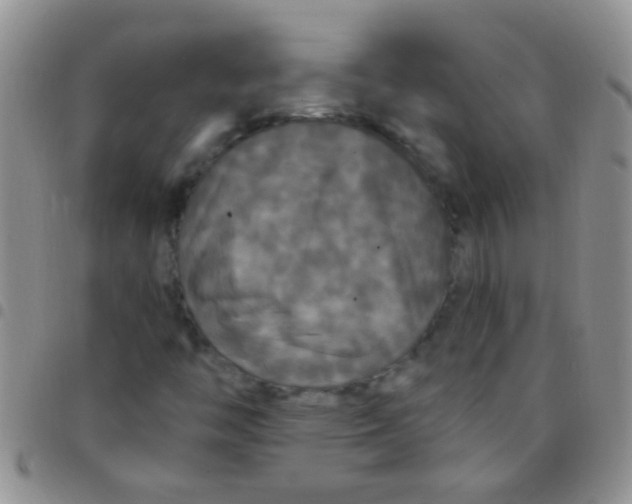 X0000097511446200803142031