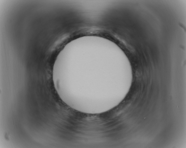 X0000097511447200803142031