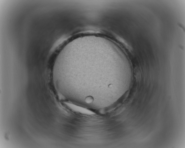 X0000097511448200803142031