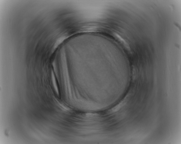 X0000097511449200803142031