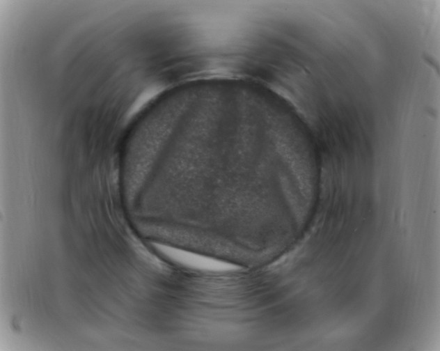 X0000097511450200803142031