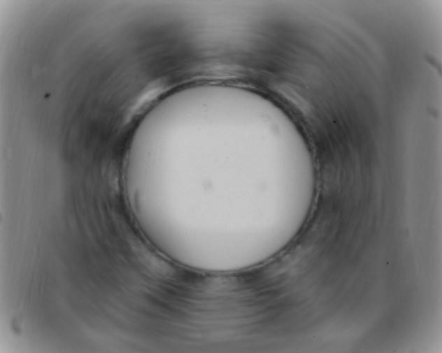 X0000097511451200803142031