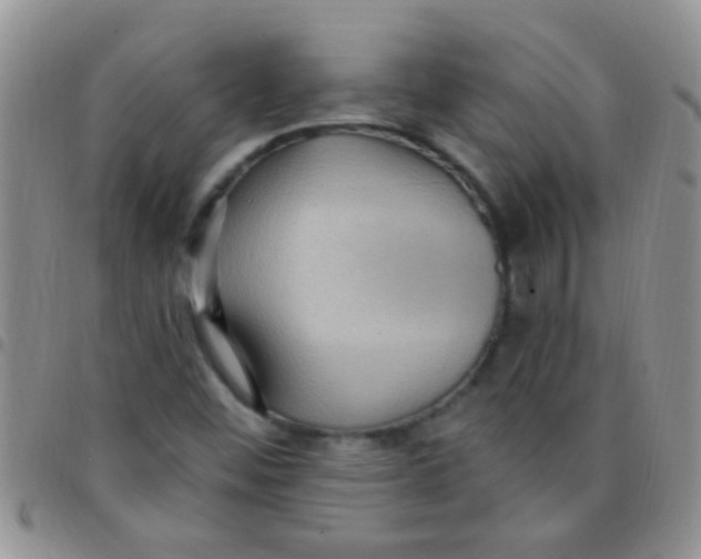 X0000097511452200803142031