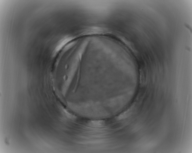 X0000097511453200803142031