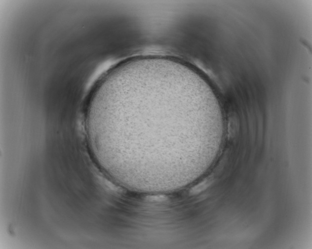 X0000097511454200803142031