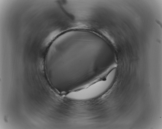 X0000097511455200803142031