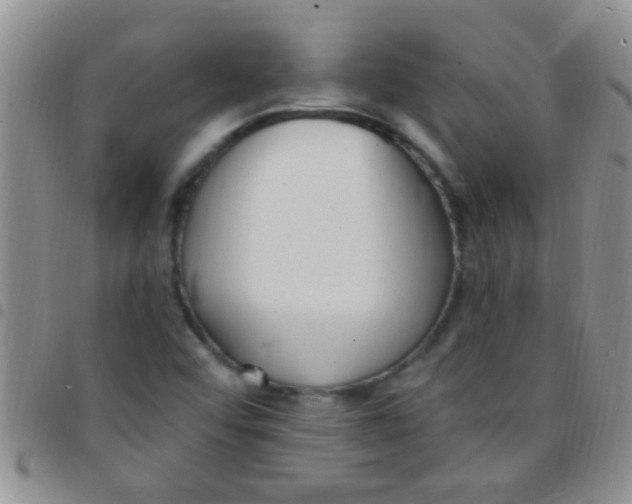 X0000097511456200803142031