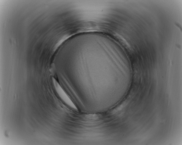 X0000097511457200803142031