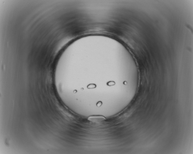 X0000097511458200803142031