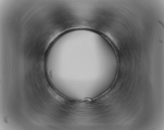 X0000097511460200803142031