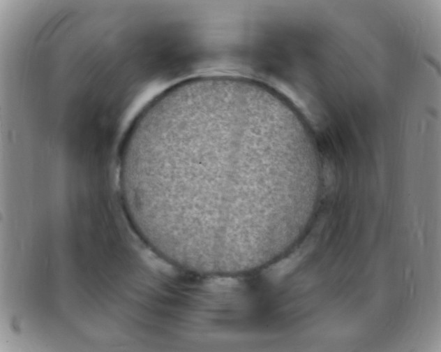 X0000097511462200803142031