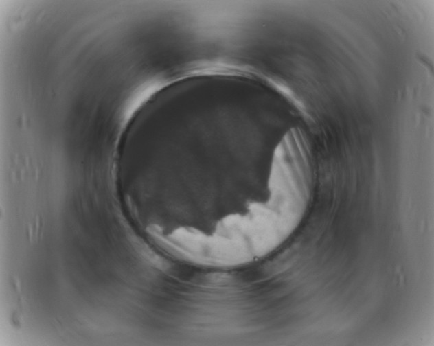 X0000097511463200803142030